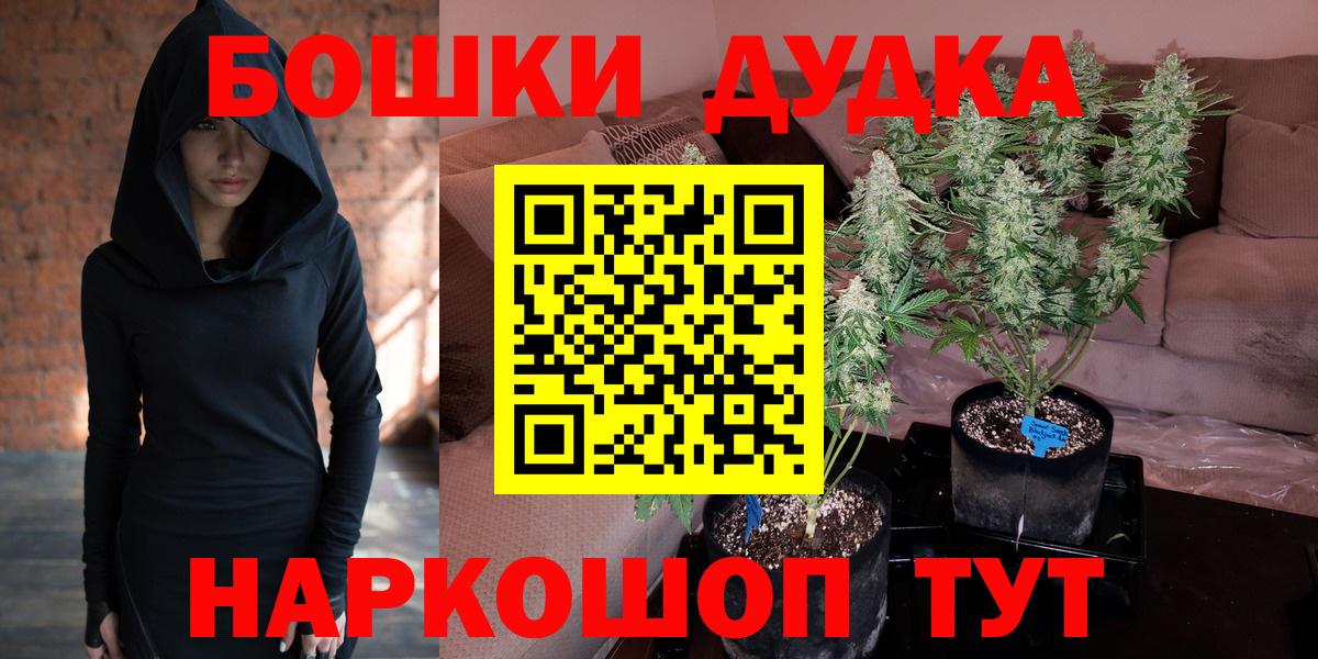Канабис тримм  Вход с VPN  Тара  Канабис индика 